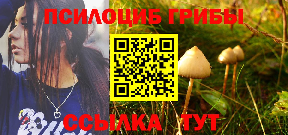 Псилоцибиновые грибы Psilocybe  Псилоцибиновые грибы мухоморы  Вход с VPN  Тихвин 